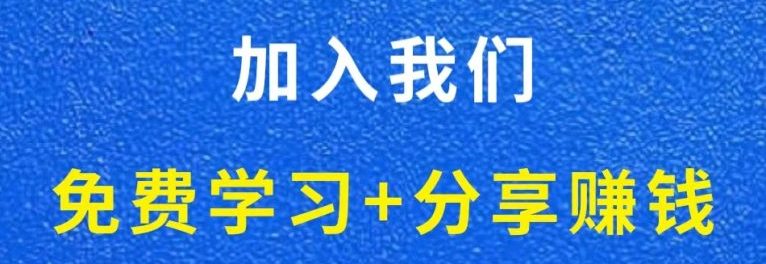 白菜价解锁20000+N个赚钱机会，加入轻推网创资源站会员，全站资源免费学习。-专注互联网轻创业轻推网创
