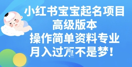 小红书宝宝起名项目高级版本,操作简单,资料专业,月入过W-专注互联网轻创业轻推网创