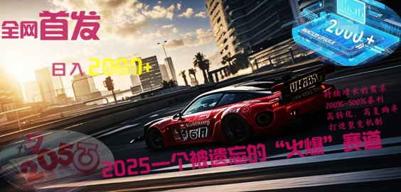 全网首发:2025一个被遗忘的“火爆”赛道轻松日入多张-专注互联网轻创业轻推网创