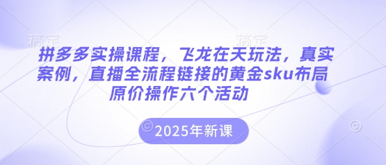 拼多多实操课程,飞龙在天玩法,真实案例,直播全流程链接的黄金sku布局原价操作六个活动-专注互联网轻创业轻推网创