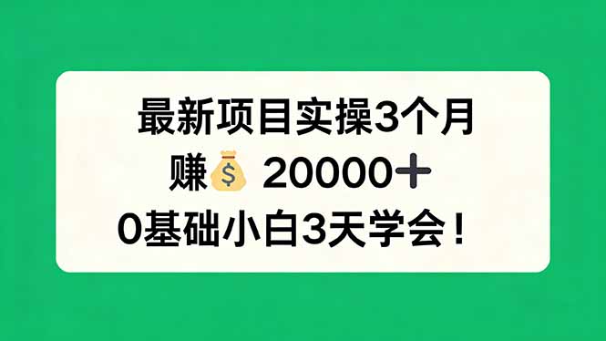 最新项目实操3个月，赚钱20000+，0基础小白3天学会！-专注互联网轻创业轻推网创
