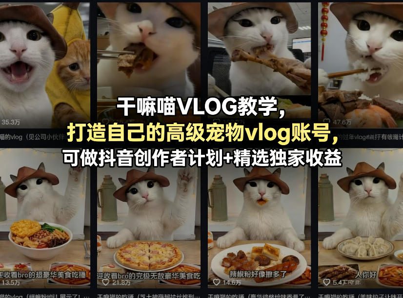 干嘛喵VLOG教学，打造自己的高级宠物vlog账号，可做抖音创作者计划+精选独家收益-专注互联网轻创业轻推网创