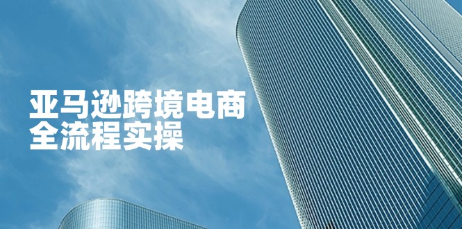 （14252期）亚马逊跨境电商全流程实操，教你从零开始，掌握店铺运营与广告技巧-专注互联网轻创业轻推网创