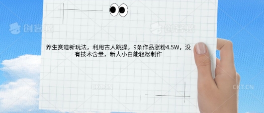 AI养生赛道新玩法，10条作品涨粉5.2W，操作简单，新人小白能轻松制作-专注互联网轻创业轻推网创