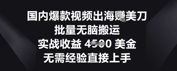 国内爆款视频出海挣美刀，批量无脑搬运，实战收益4.5k，无需经验直接上手-专注互联网轻创业轻推网创