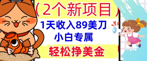 2个新项目，轻松挣美金， 1天收入89美刀，小白专属，干货分享-专注互联网轻创业轻推网创