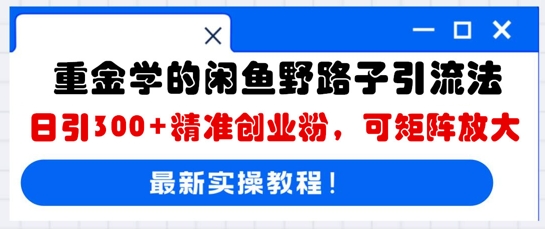 重金学的闲鱼野路子引流法，日引300+精准创业粉，可矩阵放大-专注互联网轻创业轻推网创