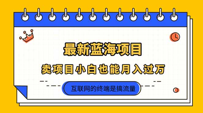 （14289期）2025年最新蓝海项目，卖项目小白也能月入过万-专注互联网轻创业轻推网创