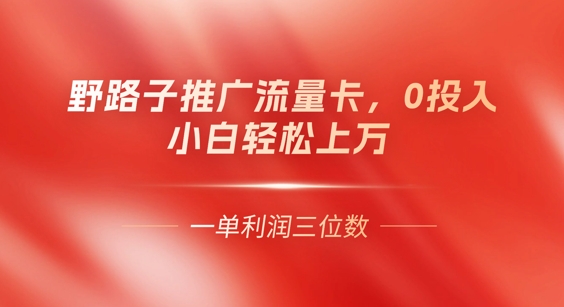 0门槛推广流量卡,一单收益上百,0投入,小白月入过W-专注互联网轻创业轻推网创