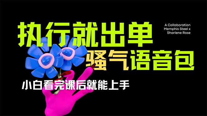 （14170期）爆火全网的开车导航骚气语音包,只要执行就出单，小白看完课程就能实操...-专注互联网轻创业轻推网创