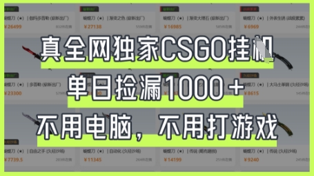 真全网独家CSGO挂G，单日捡漏1k+【揭秘】-专注互联网轻创业轻推网创