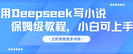 用Deepseek写小说，保姆级教程，小白可实操-专注互联网轻创业轻推网创