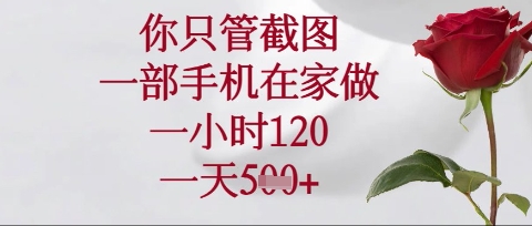 你只管截图,一部手机在家操作,一小时120.一天5张【揭秘】-专注互联网轻创业轻推网创