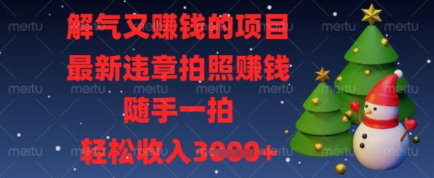 解气又挣钱的项目，最新违章拍照挣钱，随手一拍，轻松收入数张【揭秘】-专注互联网轻创业轻推网创